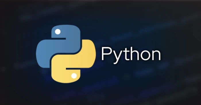 Learn Python Programming: The Future-Proof Skill for Students in 2025